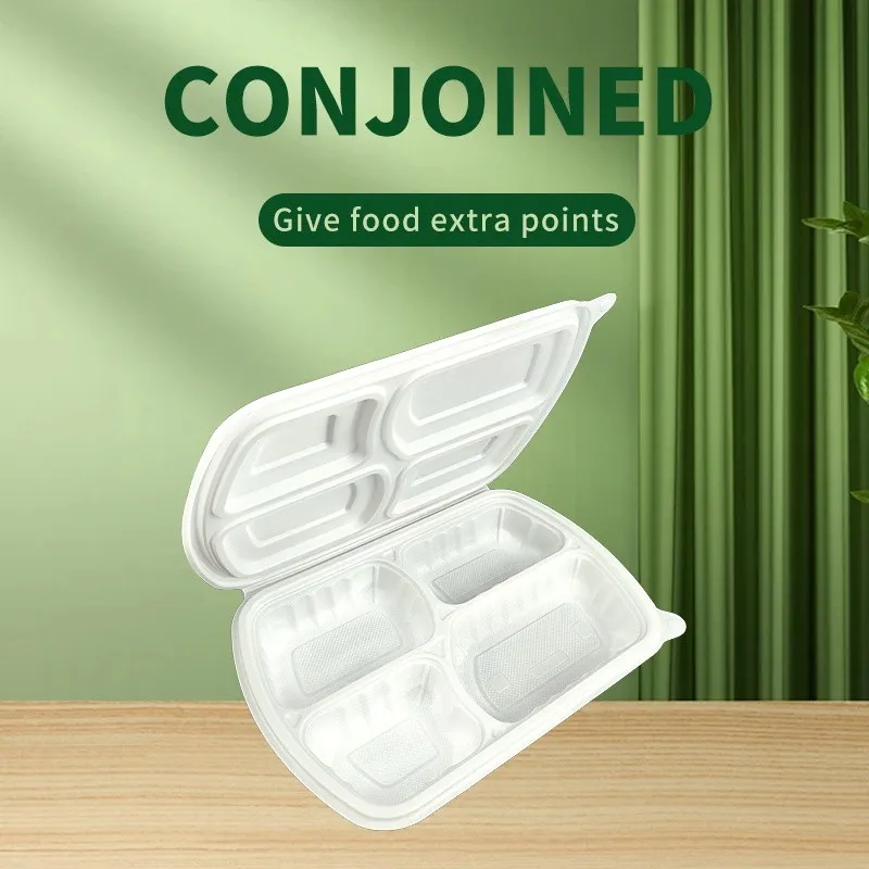 Four Compartment Dining Box best