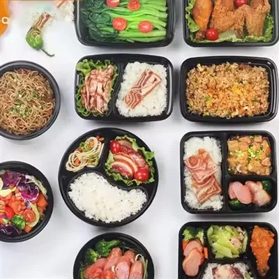 식사 준비 1 2 3 5 구획 점심 컨테이너